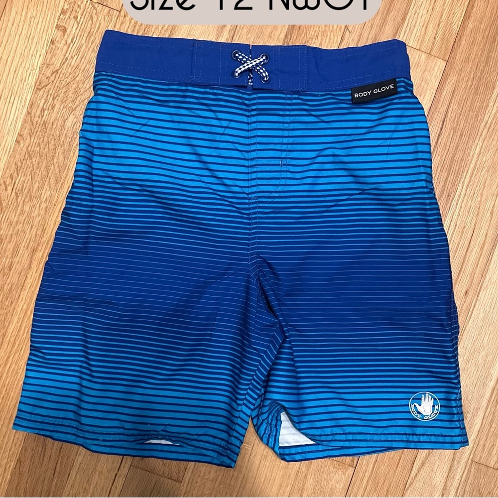 Body Glove Blue Gradient Stripe Swim Board Shorts